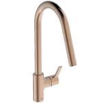 Pull-out spout